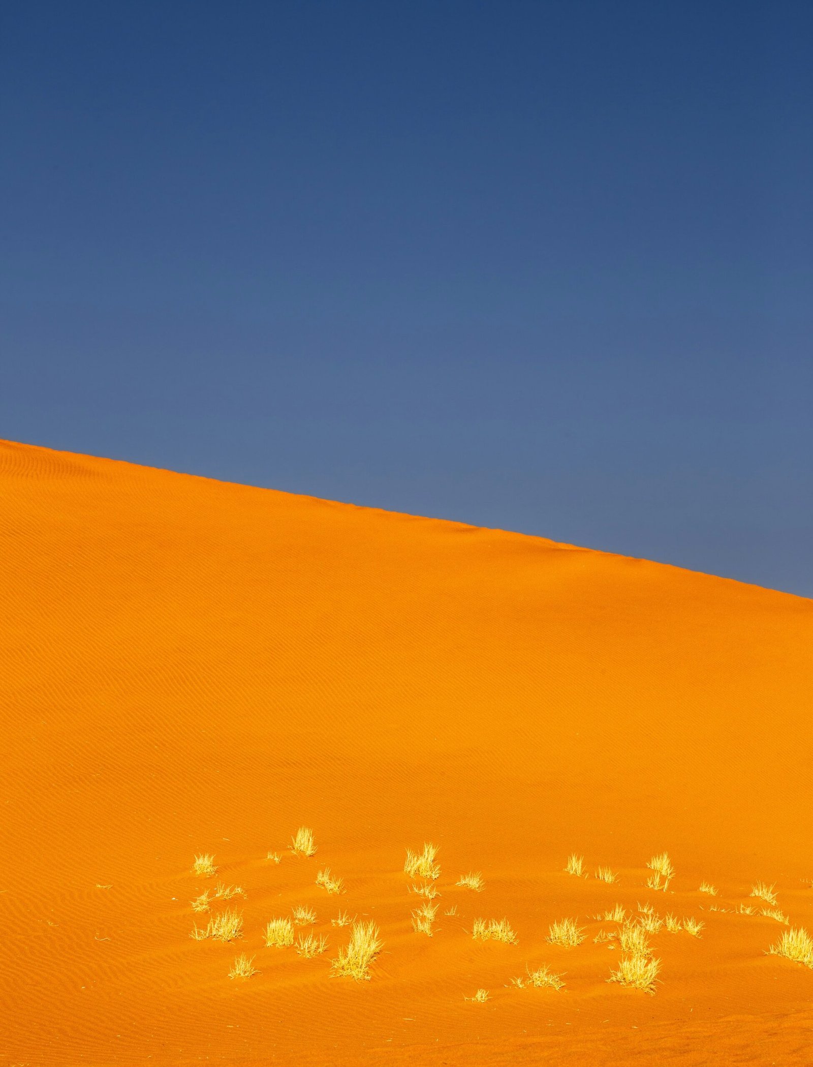 a person riding a horse in the desert