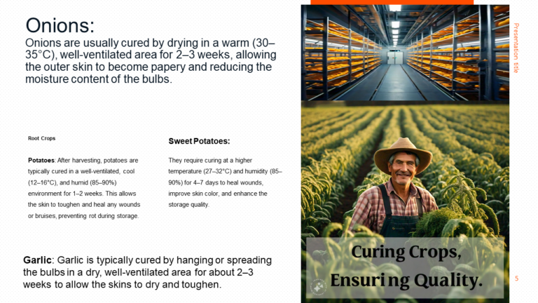 Understanding Curing and Artificial Ripening in Horticultural Crops